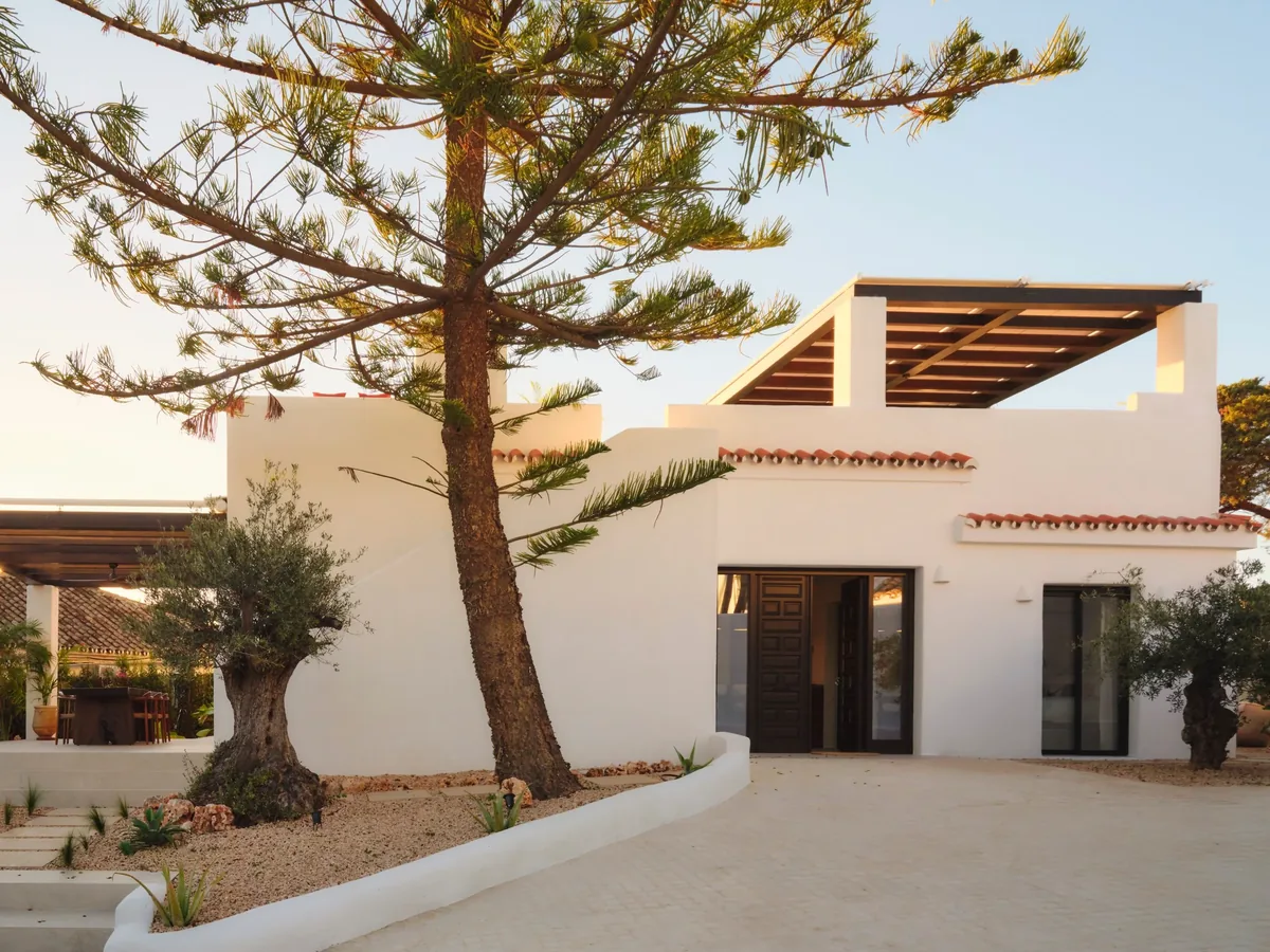 Wit Andalusisch huis met een grote pijnboom en een pergola op het dakterras