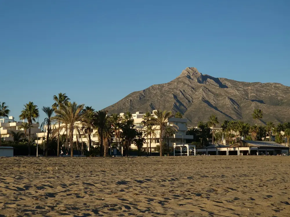 Strand met palmen en La Concha